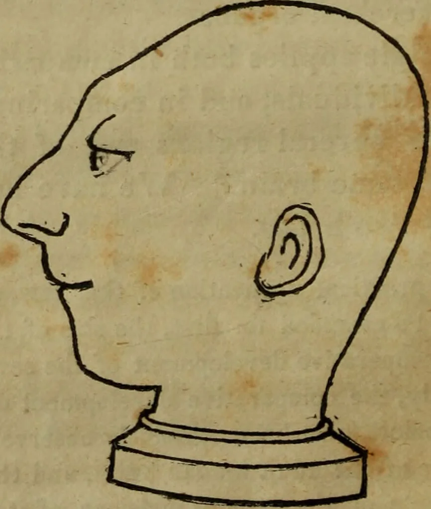 An illustration from Illustrations of phrenology : being a selection of articles from the Edinburg phrenological journal, and the transactions of the Edinburg Phrenological Society. With twenty-six wood cuts / Ed. by George H. Calvert. With an introduction by the editor., 1832, leaf 38