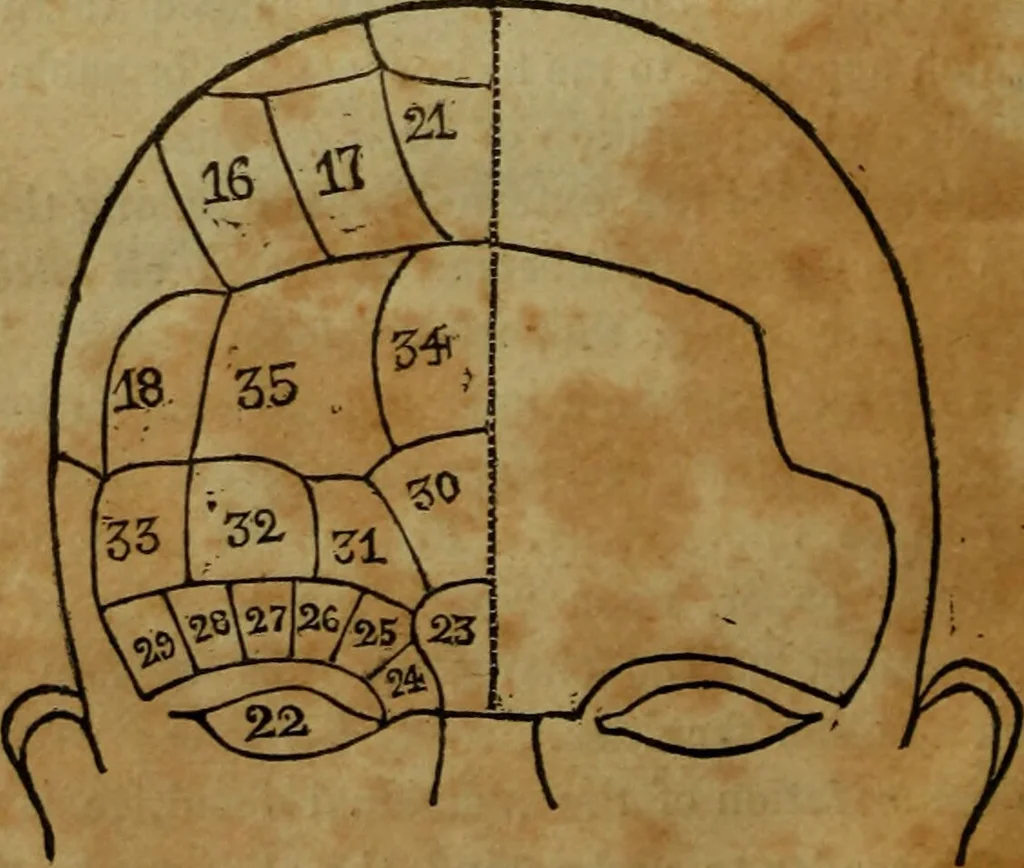 An illustration from Illustrations of phrenology : being a selection of articles from the Edinburg phrenological journal, and the transactions of the Edinburg Phrenological Society. With twenty-six wood cuts / Ed. by George H. Calvert. With an introduction by the editor., 1832, leaf 42