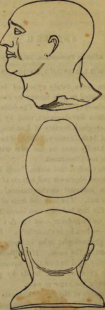 An illustration from Illustrations of phrenology : being a selection of articles from the Edinburg phrenological journal, and the transactions of the Edinburg Phrenological Society. With twenty-six wood cuts / Ed. by George H. Calvert. With an introduction by the editor., 1832, leaf 74