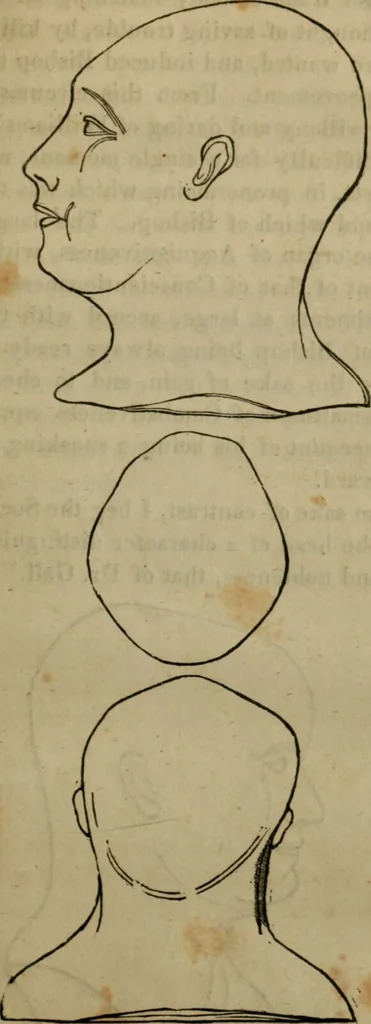 An illustration from Illustrations of phrenology : being a selection of articles from the Edinburg phrenological journal, and the transactions of the Edinburg Phrenological Society. With twenty-six wood cuts / Ed. by George H. Calvert. With an introduction by the editor., 1832, leaf 77