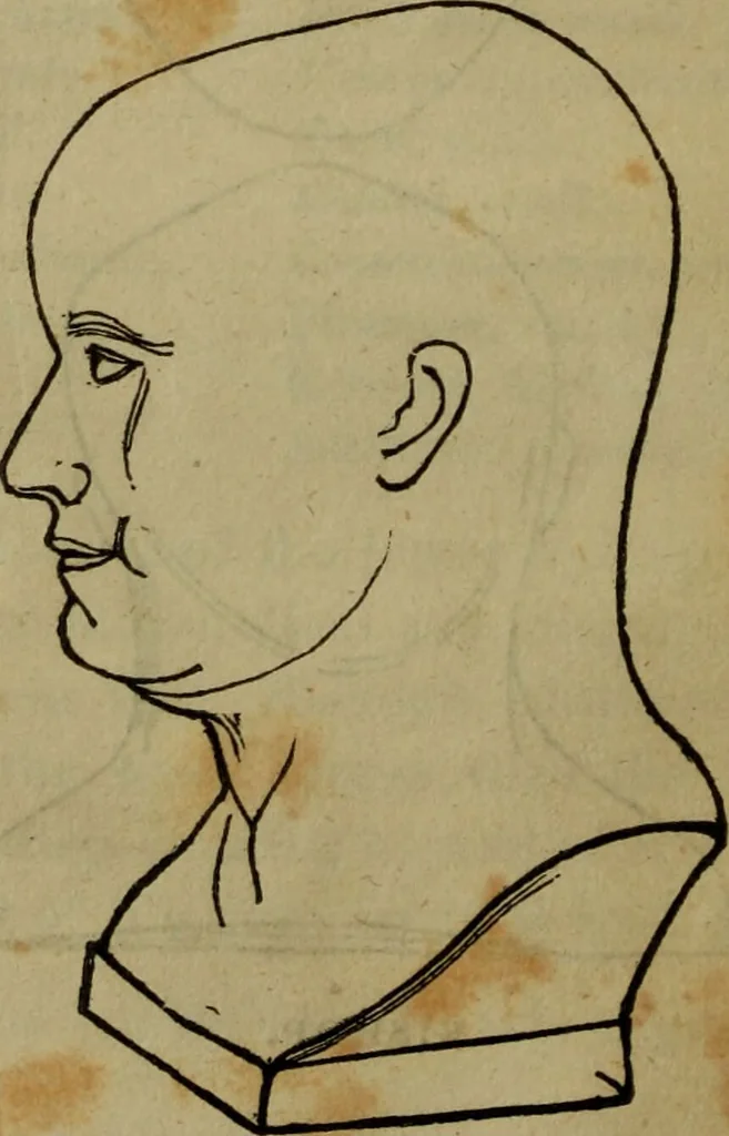 An illustration from Illustrations of phrenology : being a selection of articles from the Edinburg phrenological journal, and the transactions of the Edinburg Phrenological Society. With twenty-six wood cuts / Ed. by George H. Calvert. With an introduction by the editor., 1832, leaf 78