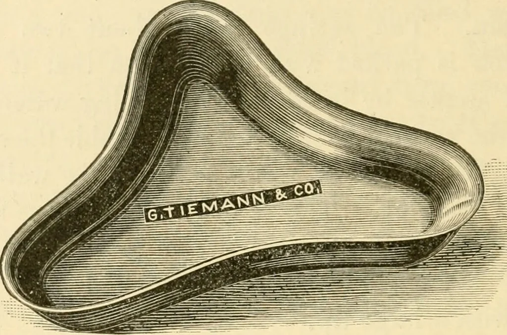 An illustration from A manual of otology / By Gorham Bacon ... With an introductory chapter by Clarence John Blake ... With 110 illustrations and a colored plate., 1898, leaf 118