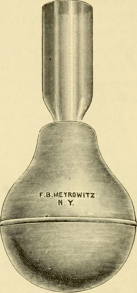 An illustration from A manual of otology / By Gorham Bacon ... With an introductory chapter by Clarence John Blake ... With 110 illustrations and a colored plate., 1898, leaf 156