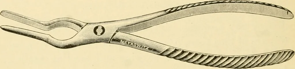 An illustration from A manual of otology / By Gorham Bacon ... With an introductory chapter by Clarence John Blake ... With 110 illustrations and a colored plate., 1898, leaf 190