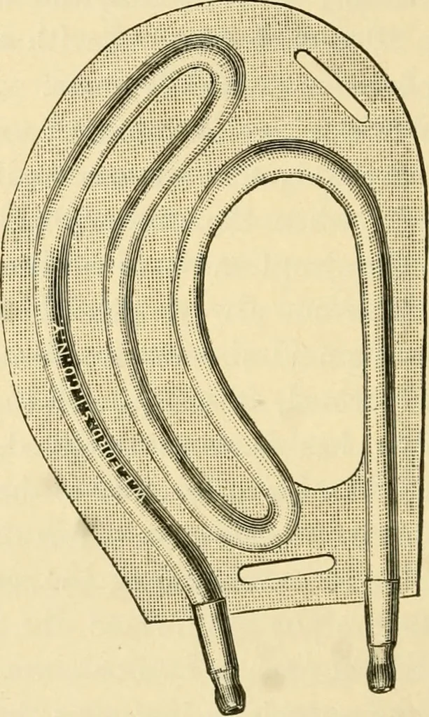 An illustration from A manual of otology / By Gorham Bacon ... With an introductory chapter by Clarence John Blake ... With 110 illustrations and a colored plate., 1898, leaf 294
