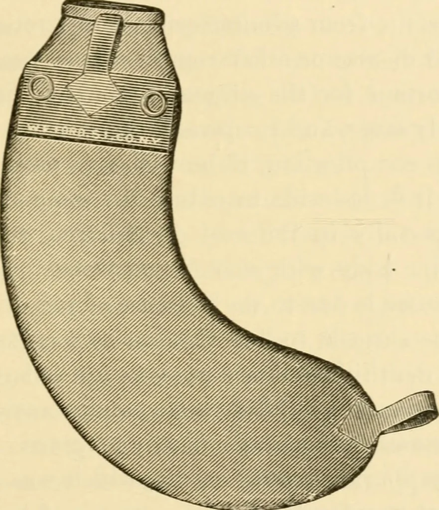 An illustration from A manual of otology / By Gorham Bacon ... With an introductory chapter by Clarence John Blake ... With 110 illustrations and a colored plate., 1898, leaf 297