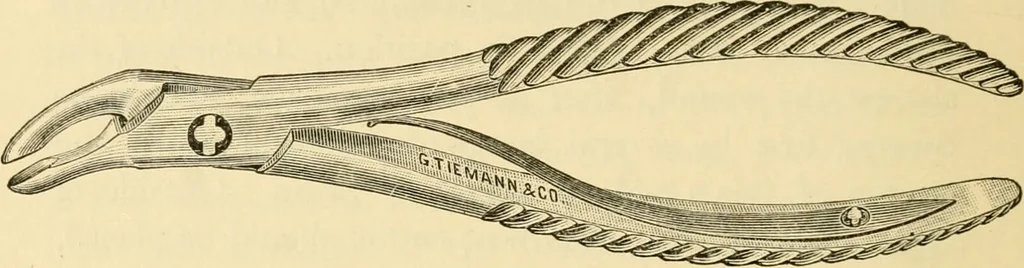 An illustration from A manual of otology / By Gorham Bacon ... With an introductory chapter by Clarence John Blake ... With 110 illustrations and a colored plate., 1898, leaf 342