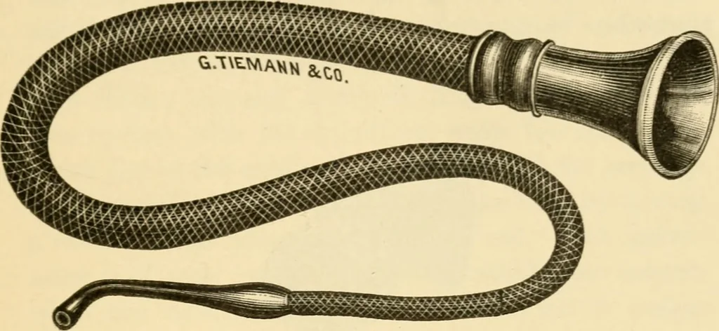 An illustration from A manual of otology / By Gorham Bacon ... With an introductory chapter by Clarence John Blake ... With 110 illustrations and a colored plate., 1898, leaf 389