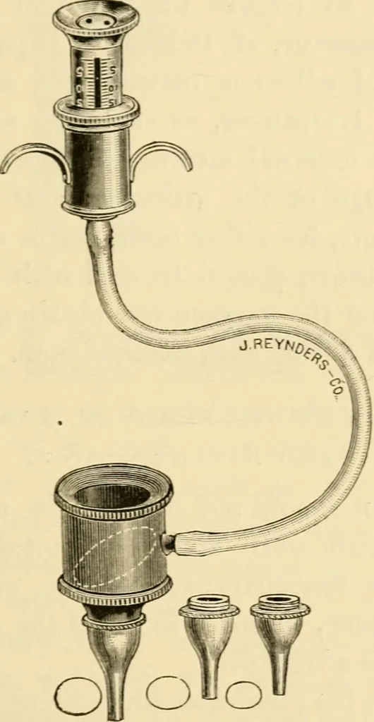 An illustration from A manual of otology / By Gorham Bacon ... With an introductory chapter by Clarence John Blake ... With 110 illustrations and a colored plate., 1898, leaf 69