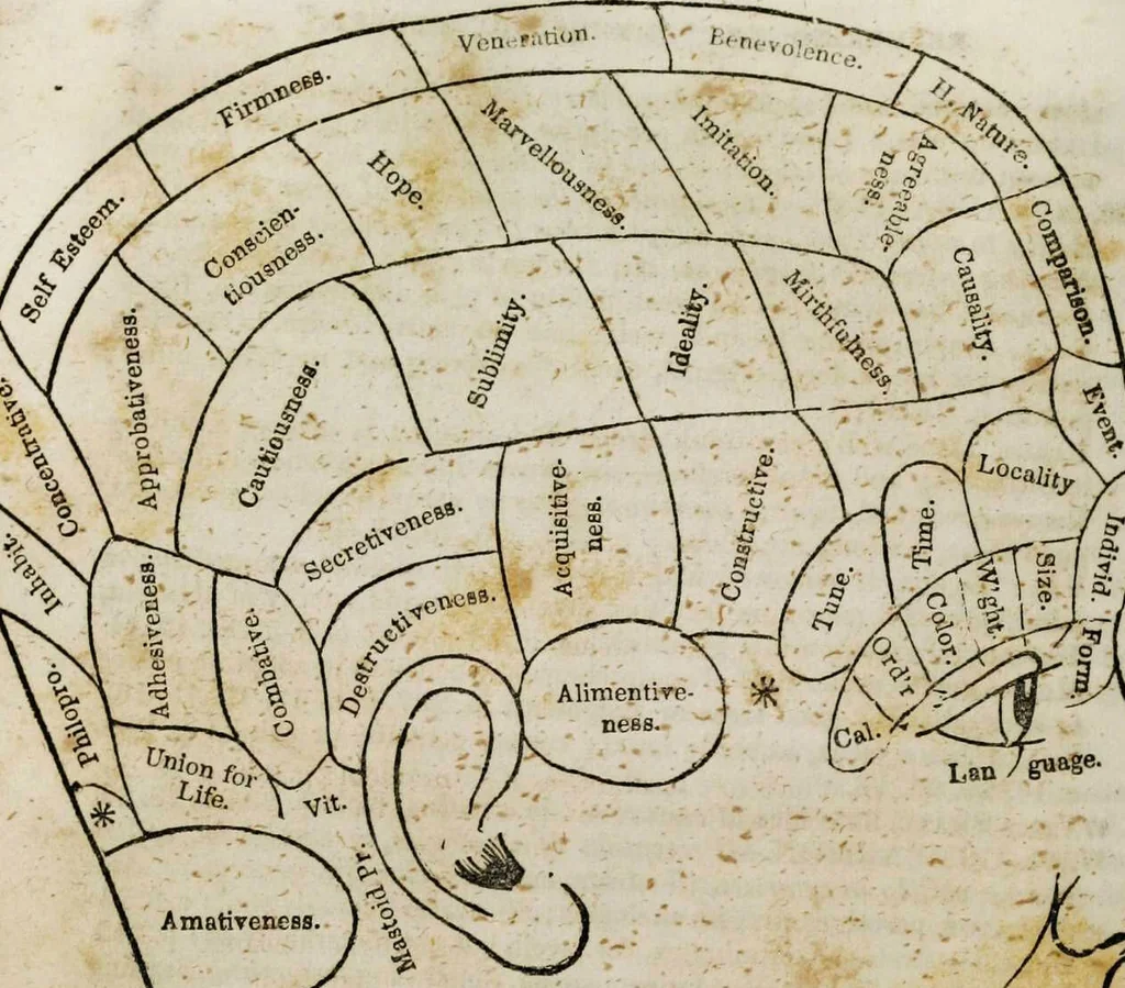 An illustration from Fowler's practical phrenology : giving a concise elementary view on phrenology; presenting some new and important remarks on the temperaments / as given by O.S. Fowler., 1850, leaf 61