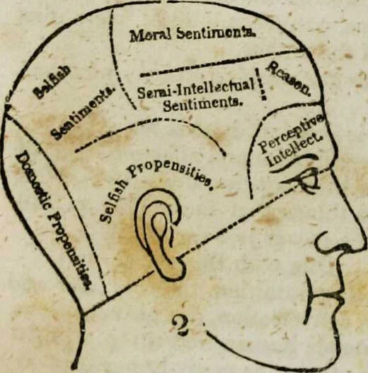 An illustration from Fowler's practical phrenology : giving a concise elementary view on phrenology; presenting some new and important remarks on the temperaments / as given by O.S. Fowler., 1850, leaf 61