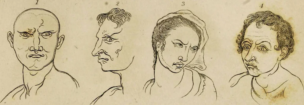 An illustration from Essays on physiognomy / tr. from the German of John Caspar Lavater, by Thomas Holcroft. Also one hundred physiognomical rules, taken from a posthumous work by J.C. Lavater; and a memoir of the author., 1853, leaf 178