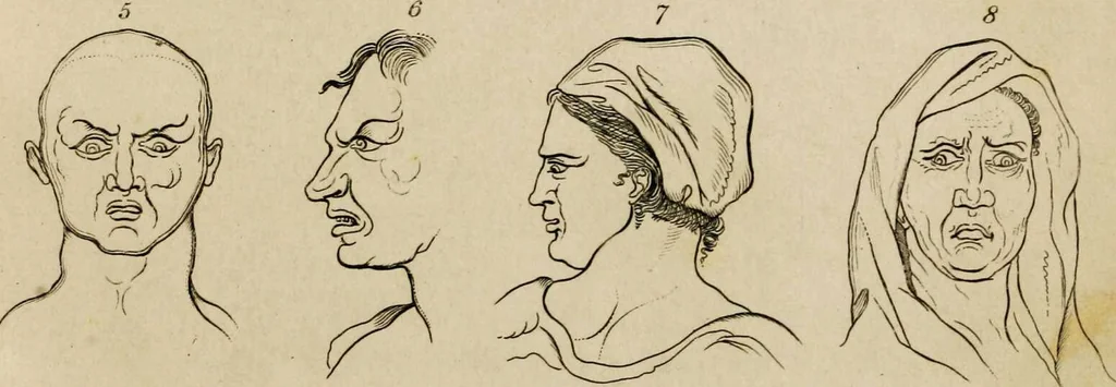 An illustration from Essays on physiognomy / tr. from the German of John Caspar Lavater, by Thomas Holcroft. Also one hundred physiognomical rules, taken from a posthumous work by J.C. Lavater; and a memoir of the author., 1853, leaf 178