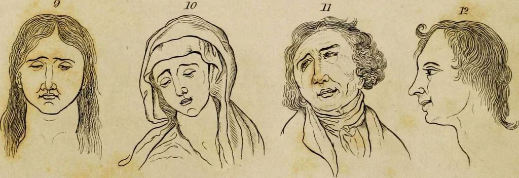An illustration from Essays on physiognomy / tr. from the German of John Caspar Lavater, by Thomas Holcroft. Also one hundred physiognomical rules, taken from a posthumous work by J.C. Lavater; and a memoir of the author., 1853, leaf 178
