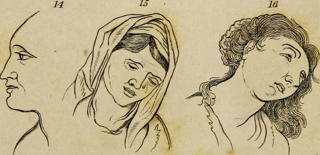 An illustration from Essays on physiognomy / tr. from the German of John Caspar Lavater, by Thomas Holcroft. Also one hundred physiognomical rules, taken from a posthumous work by J.C. Lavater; and a memoir of the author., 1853, leaf 178