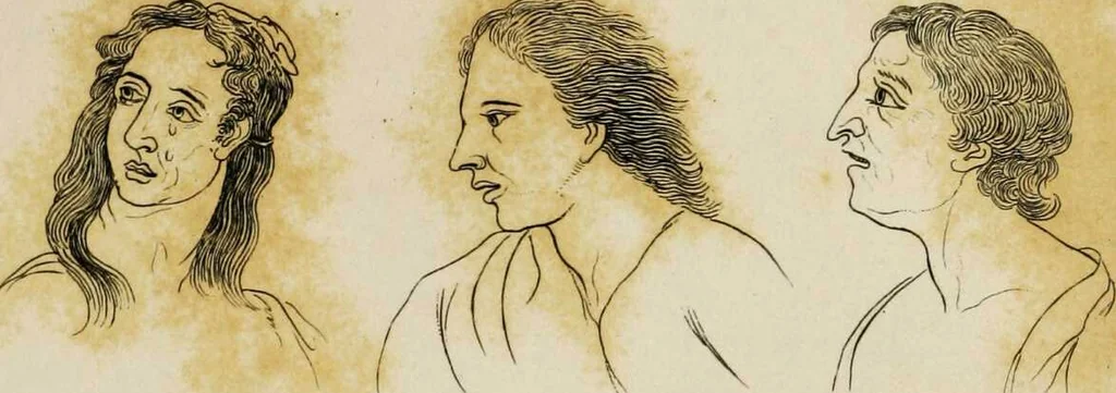 An illustration from Essays on physiognomy / tr. from the German of John Caspar Lavater, by Thomas Holcroft. Also one hundred physiognomical rules, taken from a posthumous work by J.C. Lavater; and a memoir of the author., 1853, leaf 180