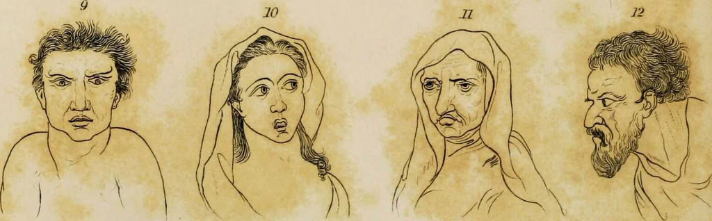 An illustration from Essays on physiognomy / tr. from the German of John Caspar Lavater, by Thomas Holcroft. Also one hundred physiognomical rules, taken from a posthumous work by J.C. Lavater; and a memoir of the author., 1853, leaf 180