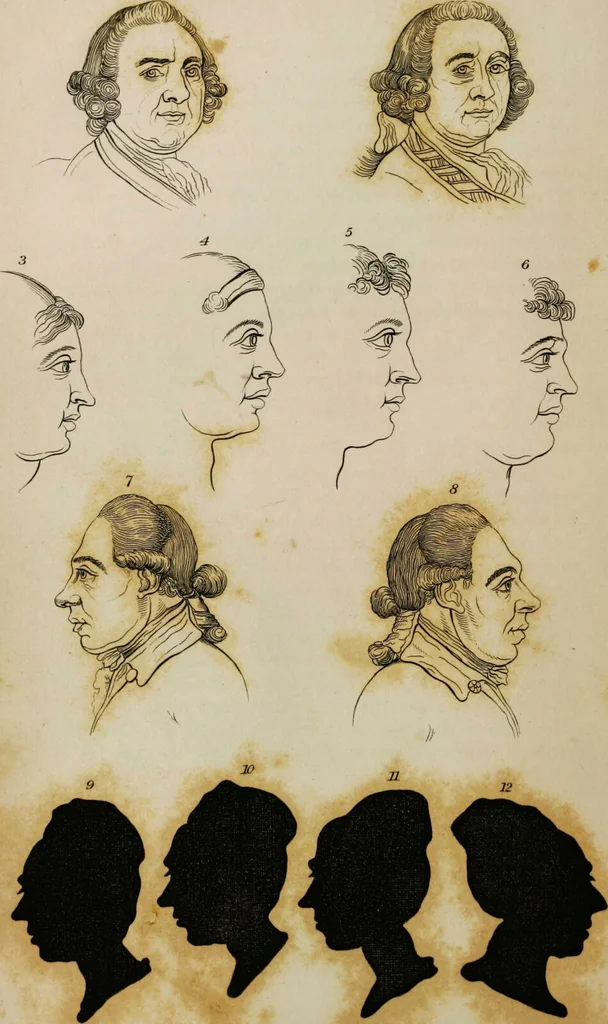 An illustration from Essays on physiognomy / tr. from the German of John Caspar Lavater, by Thomas Holcroft. Also one hundred physiognomical rules, taken from a posthumous work by J.C. Lavater; and a memoir of the author., 1853, leaf 205