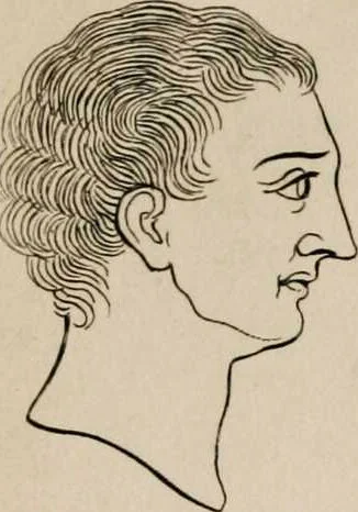 An illustration from Essays on physiognomy / tr. from the German of John Caspar Lavater, by Thomas Holcroft. Also one hundred physiognomical rules, taken from a posthumous work by J.C. Lavater; and a memoir of the author., 1853, leaf 209