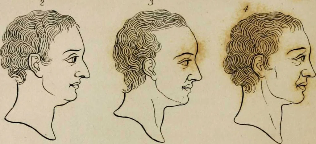 An illustration from Essays on physiognomy / tr. from the German of John Caspar Lavater, by Thomas Holcroft. Also one hundred physiognomical rules, taken from a posthumous work by J.C. Lavater; and a memoir of the author., 1853, leaf 209