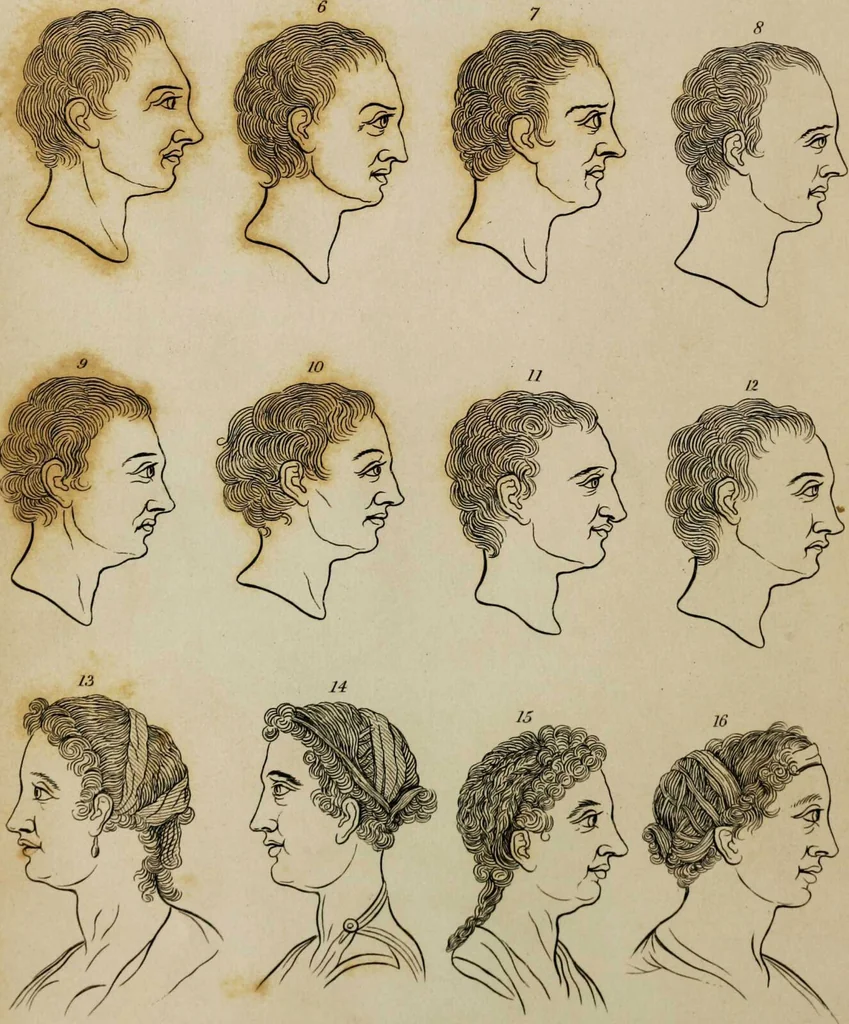 An illustration from Essays on physiognomy / tr. from the German of John Caspar Lavater, by Thomas Holcroft. Also one hundred physiognomical rules, taken from a posthumous work by J.C. Lavater; and a memoir of the author., 1853, leaf 209