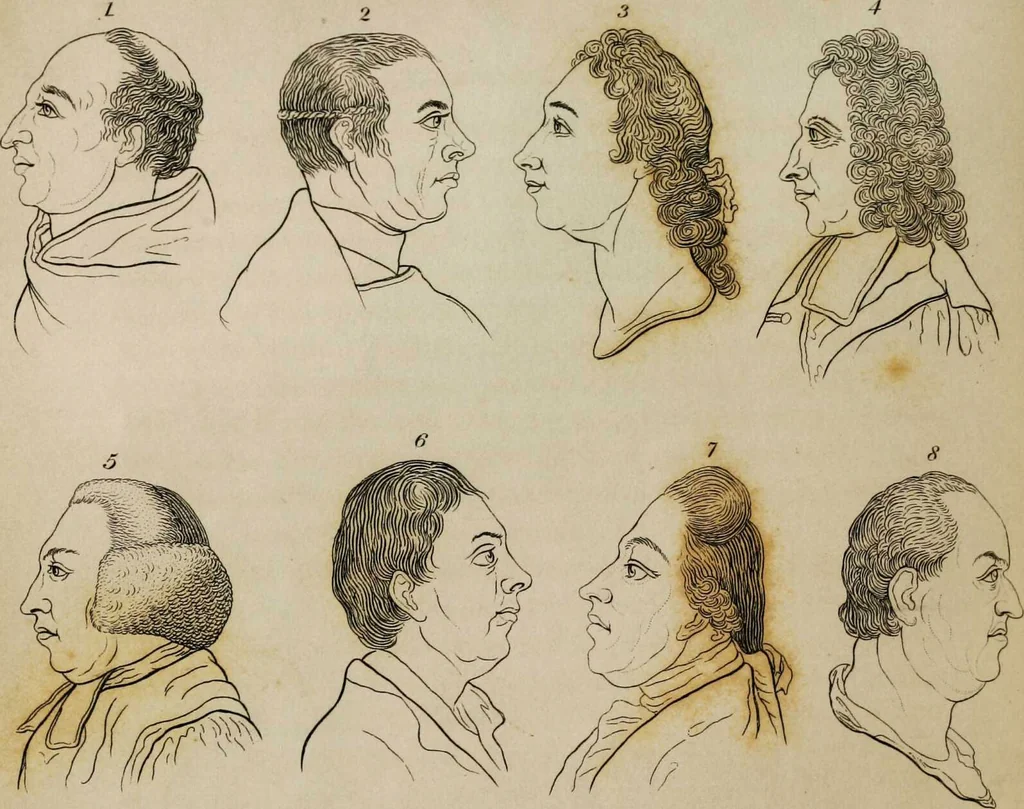 An illustration from Essays on physiognomy / tr. from the German of John Caspar Lavater, by Thomas Holcroft. Also one hundred physiognomical rules, taken from a posthumous work by J.C. Lavater; and a memoir of the author., 1853, leaf 245