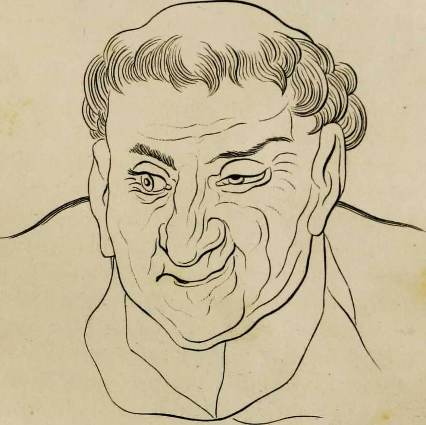 An illustration from Essays on physiognomy / tr. from the German of John Caspar Lavater, by Thomas Holcroft. Also one hundred physiognomical rules, taken from a posthumous work by J.C. Lavater; and a memoir of the author., 1853, leaf 272