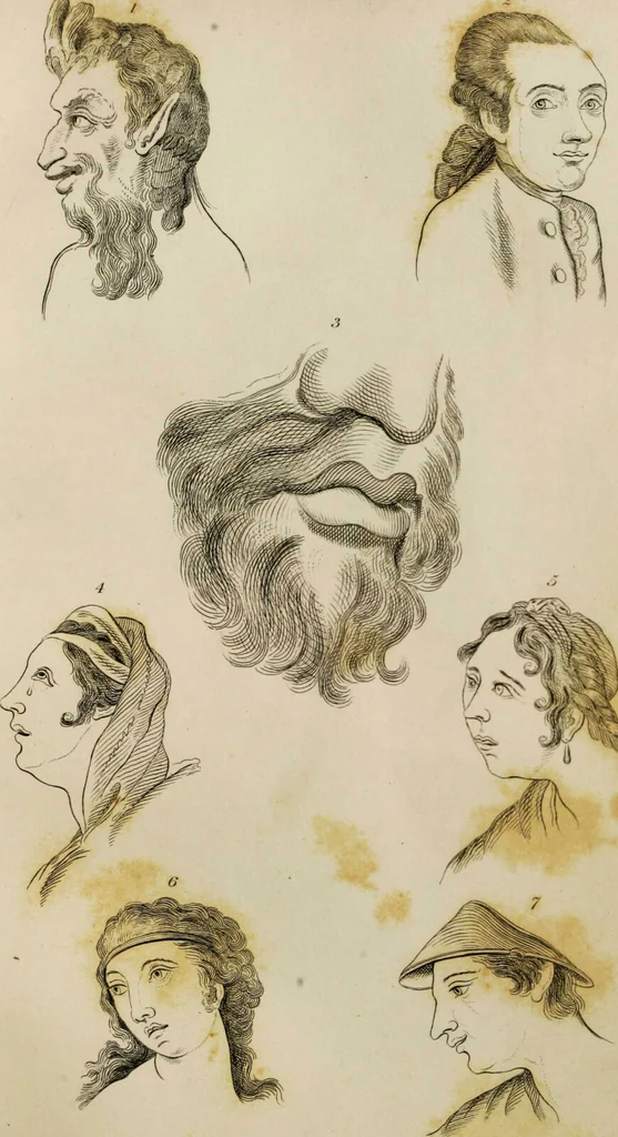An illustration from Essays on physiognomy / tr. from the German of John Caspar Lavater, by Thomas Holcroft. Also one hundred physiognomical rules, taken from a posthumous work by J.C. Lavater; and a memoir of the author., 1853, leaf 274