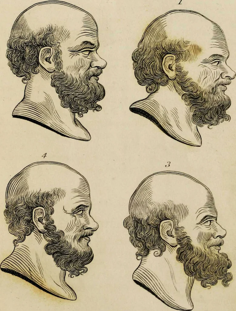 An illustration from Essays on physiognomy / tr. from the German of John Caspar Lavater, by Thomas Holcroft. Also one hundred physiognomical rules, taken from a posthumous work by J.C. Lavater; and a memoir of the author., 1853, leaf 288
