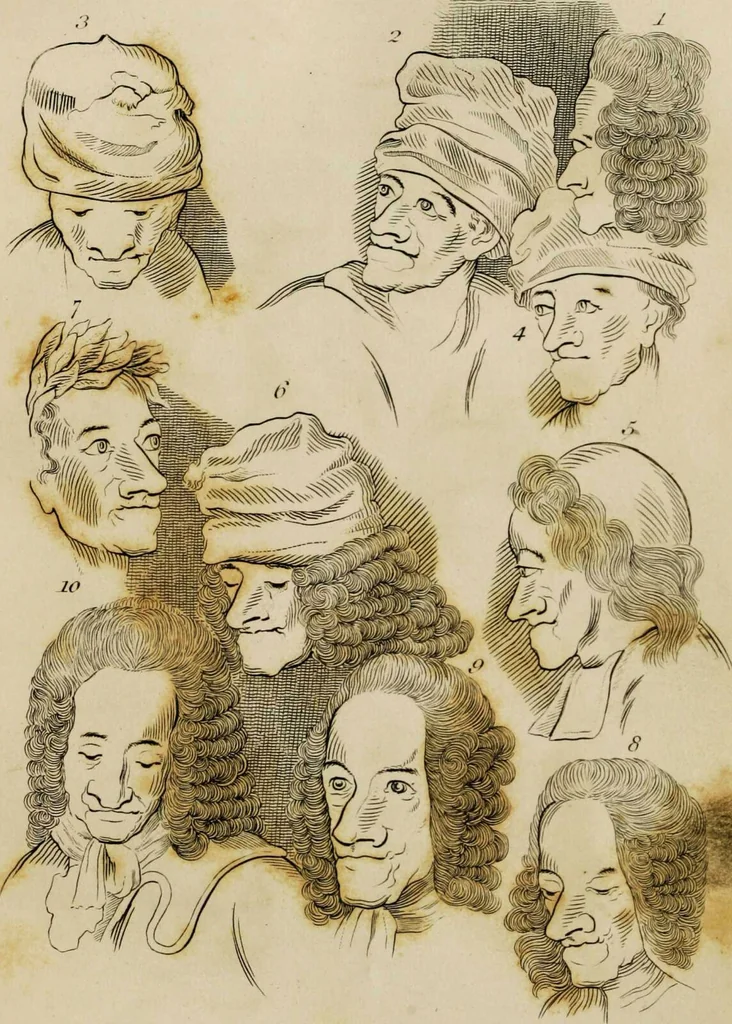 An illustration from Essays on physiognomy / tr. from the German of John Caspar Lavater, by Thomas Holcroft. Also one hundred physiognomical rules, taken from a posthumous work by J.C. Lavater; and a memoir of the author., 1853, leaf 294