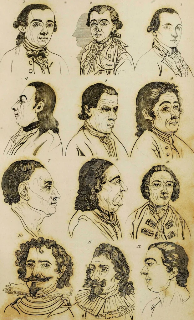 An illustration from Essays on physiognomy / tr. from the German of John Caspar Lavater, by Thomas Holcroft. Also one hundred physiognomical rules, taken from a posthumous work by J.C. Lavater; and a memoir of the author., 1853, leaf 354