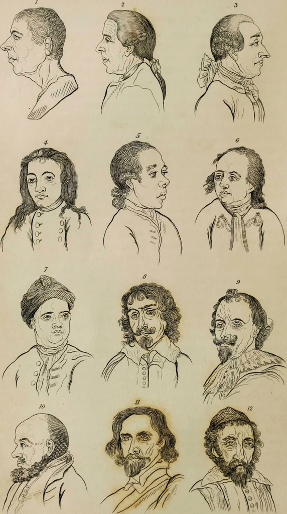 An illustration from Essays on physiognomy / tr. from the German of John Caspar Lavater, by Thomas Holcroft. Also one hundred physiognomical rules, taken from a posthumous work by J.C. Lavater; and a memoir of the author., 1853, leaf 365