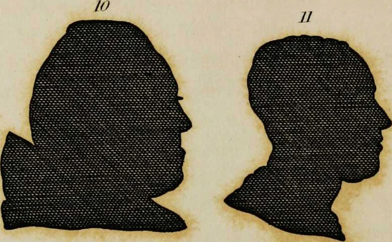 An illustration from Essays on physiognomy / tr. from the German of John Caspar Lavater, by Thomas Holcroft. Also one hundred physiognomical rules, taken from a posthumous work by J.C. Lavater; and a memoir of the author., 1853, leaf 379