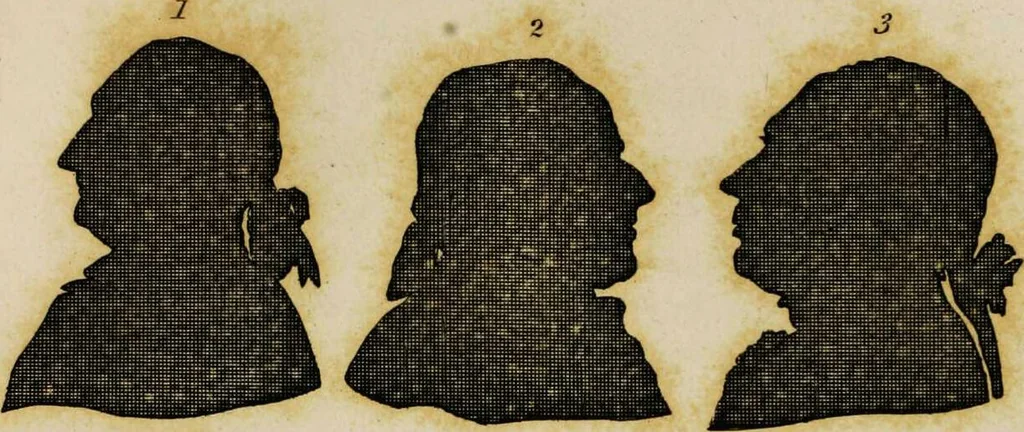 An illustration from Essays on physiognomy / tr. from the German of John Caspar Lavater, by Thomas Holcroft. Also one hundred physiognomical rules, taken from a posthumous work by J.C. Lavater; and a memoir of the author., 1853, leaf 388