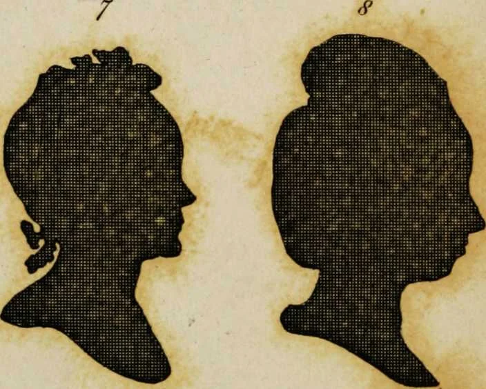 An illustration from Essays on physiognomy / tr. from the German of John Caspar Lavater, by Thomas Holcroft. Also one hundred physiognomical rules, taken from a posthumous work by J.C. Lavater; and a memoir of the author., 1853, leaf 388