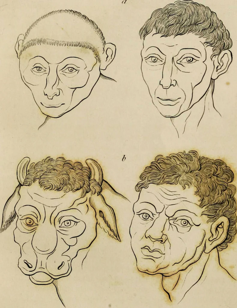 An illustration from Essays on physiognomy / tr. from the German of John Caspar Lavater, by Thomas Holcroft. Also one hundred physiognomical rules, taken from a posthumous work by J.C. Lavater; and a memoir of the author., 1853, leaf 398