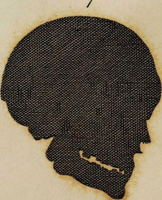 An illustration from Essays on physiognomy / tr. from the German of John Caspar Lavater, by Thomas Holcroft. Also one hundred physiognomical rules, taken from a posthumous work by J.C. Lavater; and a memoir of the author., 1853, leaf 465