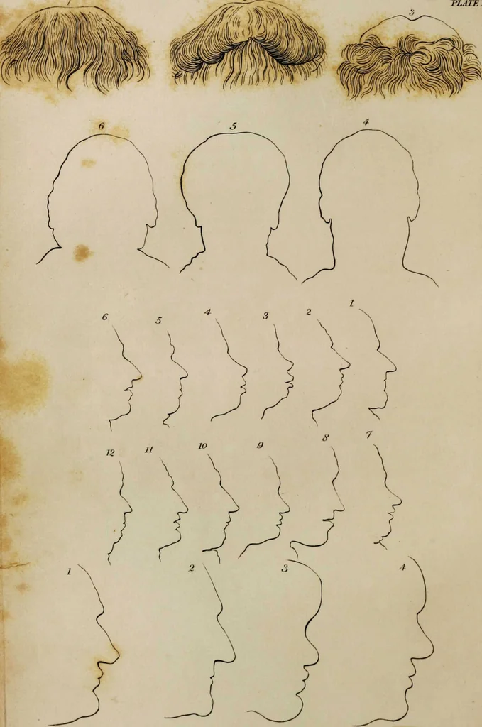 An illustration from Essays on physiognomy / tr. from the German of John Caspar Lavater, by Thomas Holcroft. Also one hundred physiognomical rules, taken from a posthumous work by J.C. Lavater; and a memoir of the author., 1853, leaf 471