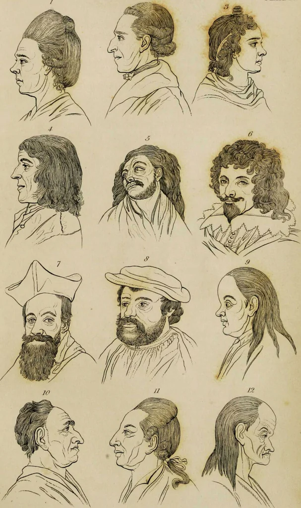 An illustration from Essays on physiognomy / tr. from the German of John Caspar Lavater, by Thomas Holcroft. Also one hundred physiognomical rules, taken from a posthumous work by J.C. Lavater; and a memoir of the author., 1853, leaf 646