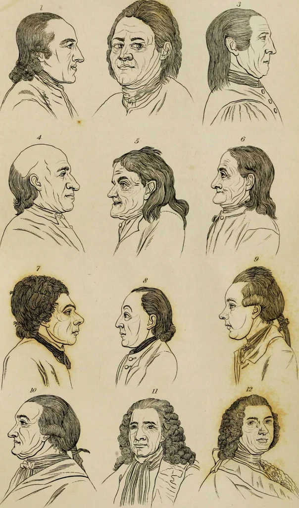An illustration from Essays on physiognomy / tr. from the German of John Caspar Lavater, by Thomas Holcroft. Also one hundred physiognomical rules, taken from a posthumous work by J.C. Lavater; and a memoir of the author., 1853, leaf 656
