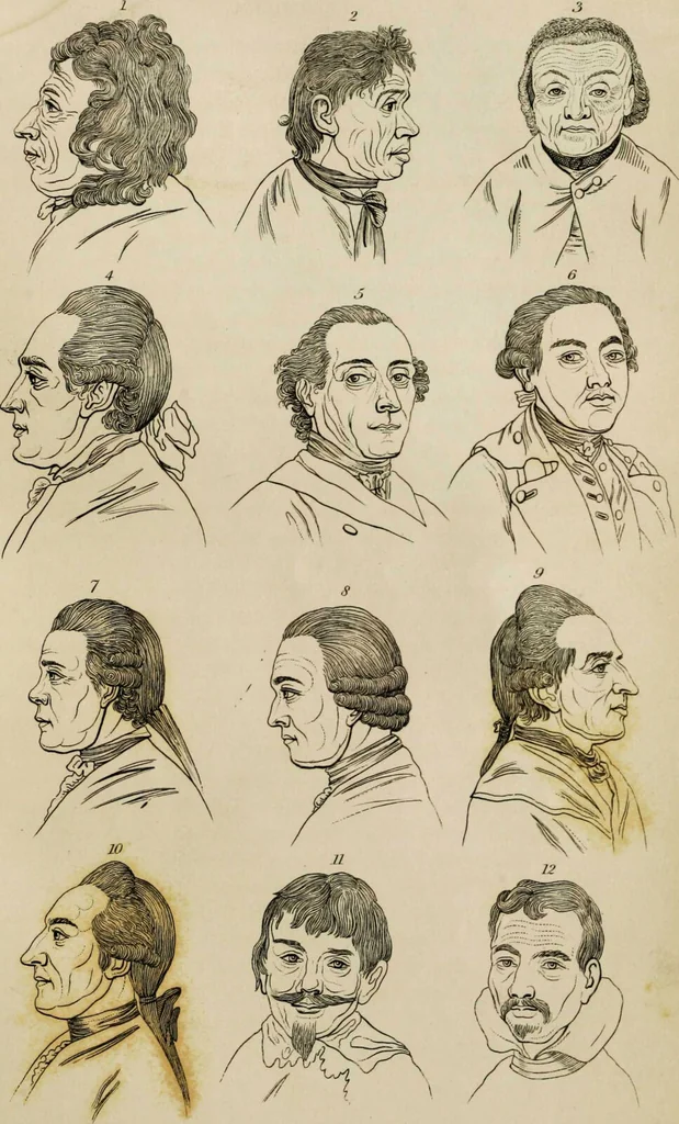 An illustration from Essays on physiognomy / tr. from the German of John Caspar Lavater, by Thomas Holcroft. Also one hundred physiognomical rules, taken from a posthumous work by J.C. Lavater; and a memoir of the author., 1853, leaf 660
