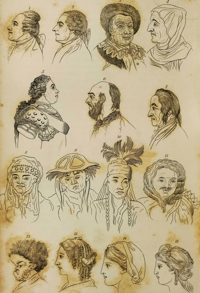 An illustration from Essays on physiognomy / tr. from the German of John Caspar Lavater, by Thomas Holcroft. Also one hundred physiognomical rules, taken from a posthumous work by J.C. Lavater; and a memoir of the author., 1853, leaf 665