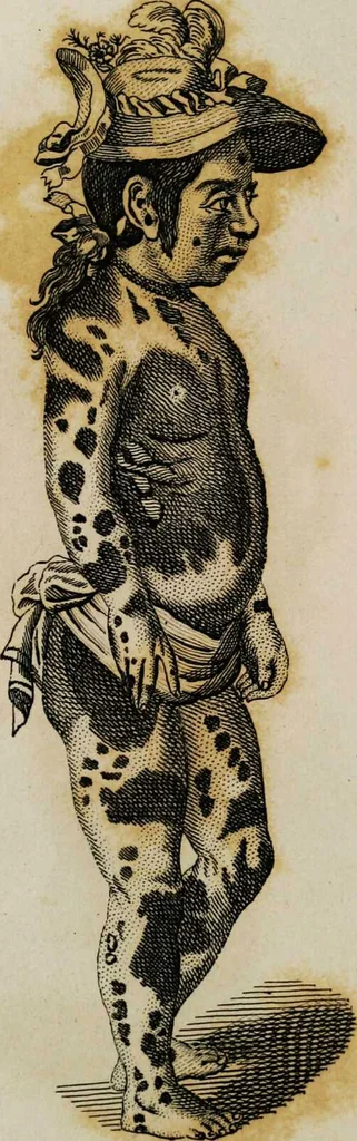 An illustration from Essays on physiognomy / tr. from the German of John Caspar Lavater, by Thomas Holcroft. Also one hundred physiognomical rules, taken from a posthumous work by J.C. Lavater; and a memoir of the author., 1853, leaf 673