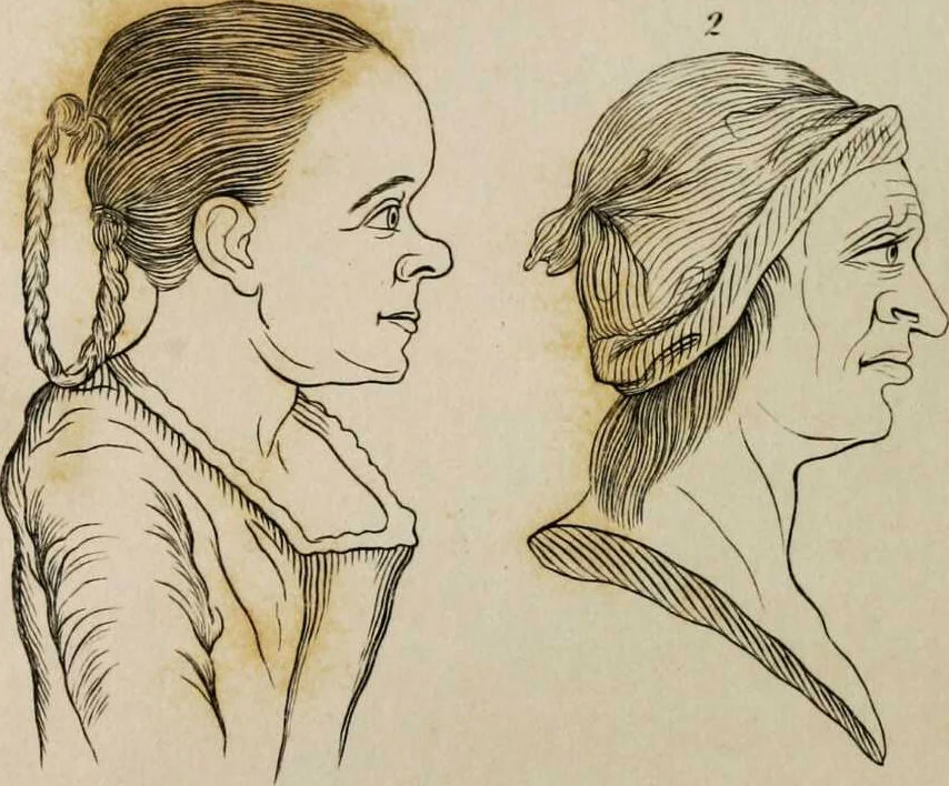 An illustration from Essays on physiognomy / tr. from the German of John Caspar Lavater, by Thomas Holcroft. Also one hundred physiognomical rules, taken from a posthumous work by J.C. Lavater; and a memoir of the author., 1853, leaf 681