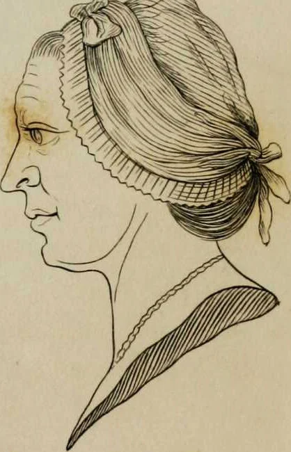 An illustration from Essays on physiognomy / tr. from the German of John Caspar Lavater, by Thomas Holcroft. Also one hundred physiognomical rules, taken from a posthumous work by J.C. Lavater; and a memoir of the author., 1853, leaf 681