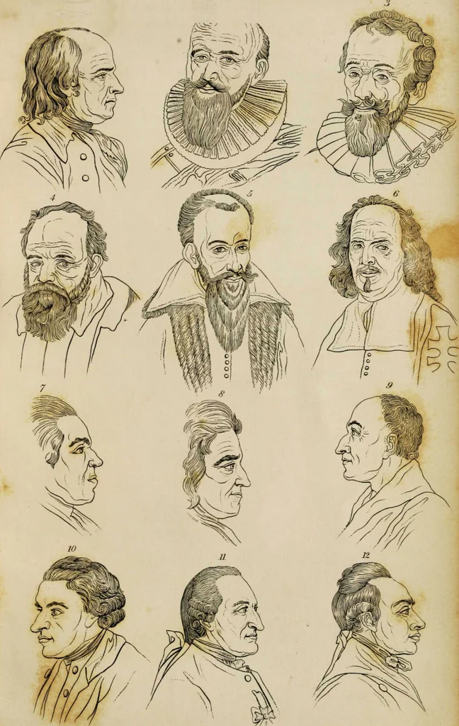 An illustration from Essays on physiognomy / tr. from the German of John Caspar Lavater, by Thomas Holcroft. Also one hundred physiognomical rules, taken from a posthumous work by J.C. Lavater; and a memoir of the author., 1853, leaf 690