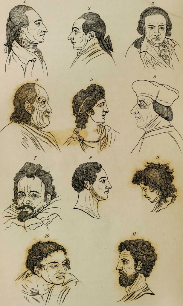 An illustration from Essays on physiognomy / tr. from the German of John Caspar Lavater, by Thomas Holcroft. Also one hundred physiognomical rules, taken from a posthumous work by J.C. Lavater; and a memoir of the author., 1853, leaf 695