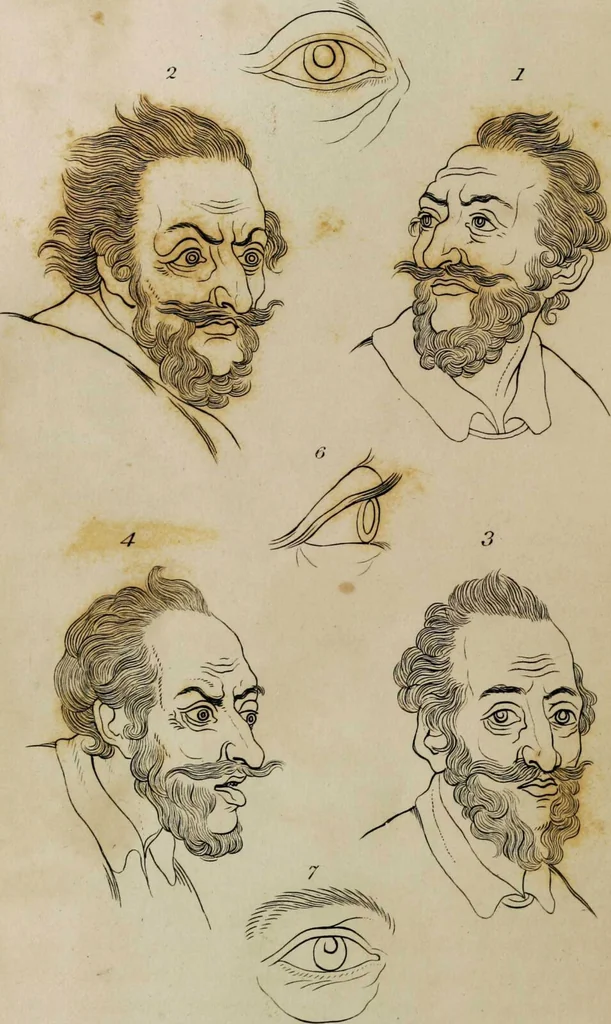 An illustration from Essays on physiognomy / tr. from the German of John Caspar Lavater, by Thomas Holcroft. Also one hundred physiognomical rules, taken from a posthumous work by J.C. Lavater; and a memoir of the author., 1853, leaf 709