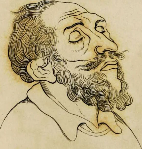 An illustration from Essays on physiognomy / tr. from the German of John Caspar Lavater, by Thomas Holcroft. Also one hundred physiognomical rules, taken from a posthumous work by J.C. Lavater; and a memoir of the author., 1853, leaf 724