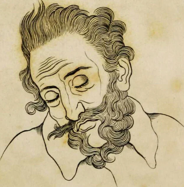 An illustration from Essays on physiognomy / tr. from the German of John Caspar Lavater, by Thomas Holcroft. Also one hundred physiognomical rules, taken from a posthumous work by J.C. Lavater; and a memoir of the author., 1853, leaf 724